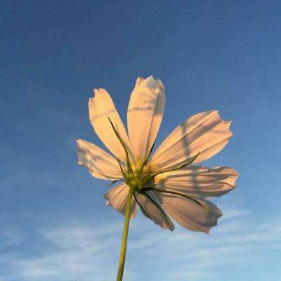 购彩中心welcome官网