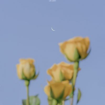 火狐体育下载app手机app下载