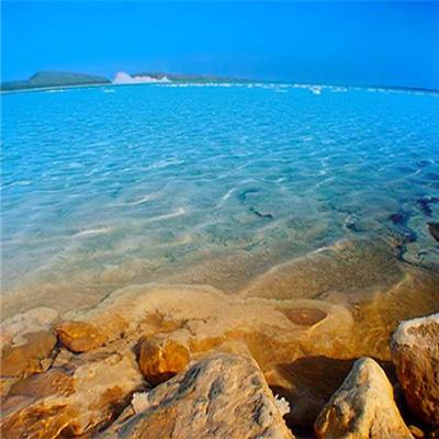 竞技宝app最新版本截图