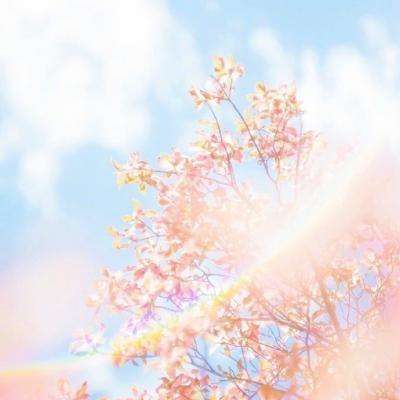 乐鱼app官方下载截图