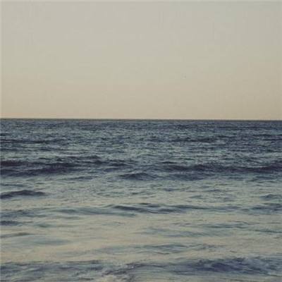 鸭脖app下载手机app下载