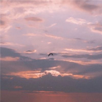 管家婆期期四肖四码中特管家下载手机版