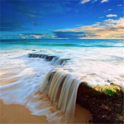 乐鱼(中国)官方网站app下载