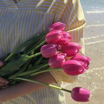 爱体育官方网站