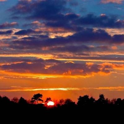 万博体育App全站下载