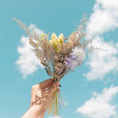 云开平台登录app