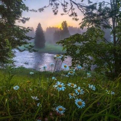 乐鱼app官方下载